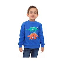 Toontoy Kids Toontoy Erkek Çocuk Nakışlı Sweatshirt Saks