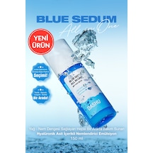 Yağ - Nem Dengesi Sunan Hepsi Bir Arada Bakım Emülsiyonu Dashu Blue Sedum All In One