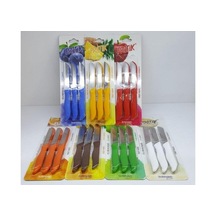 Pratik Renkli Meyve Bıçak Seti 6'lı 43025 Mavi