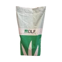 Fare Kulağı Tohumu Dichondra Repens250 GR