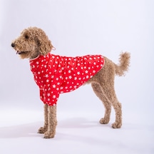 Pawstar Kırmızı Stars Orta ve Büyük Irk Köpek Montu Yağmurluğu