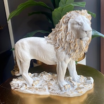 Aslan Biblo Hf248-6