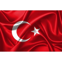 Türk Bayrağı 20x30 Cm Alpaka Kumaş 10 Adet