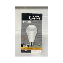 Ct-4229 Ampul 2 Adet
