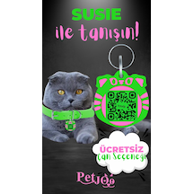 Petjoo 3.Susie Pembe-Yeşil Qr'lı Kedi Künyesi