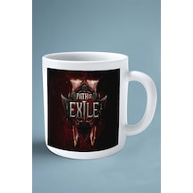 Path Of Exile Oyun Baskılı Kupa Bardak Çift Taraflı Baskı Kişiye Özel Model 7 Çok Renkli