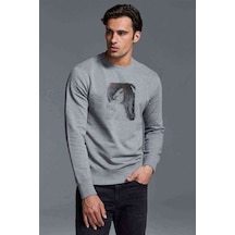 Anime Tokyo Ghoul Anteiku Baskılı Gri Erkek Örme Sweatshirt (530943400)