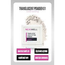 Translucent Loose Setting Powder 01