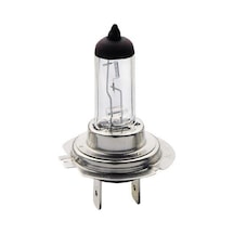 Narva Far Ampülü 24V 70W H7