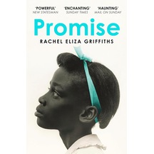 Promise - 57855210113300080189788