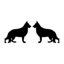 Iki Çoban Pet Köpek Grafik Komik Sticker 2