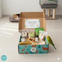 Candostumbox Kuş Hediye Kutusu Kuşlar İçin Oyuncak, Atıştırmalı