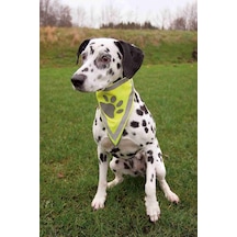 Trixie Köpek Bandanası S-M 29-42 CM Çok Renkli