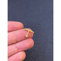 Ömürlük Paslanmaz Kararmaz Çizgi Altın Rengi Horizontal Estetik Tragus Helix Kıkırdak Piercing Şeffaf