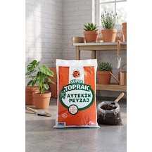 3 L