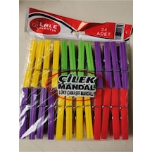 24 Plastik Çilek Mandal Royaleks-l003 Diğer