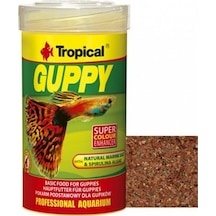 Tropical Guppy Pul Lepistes Yemi 100 ML