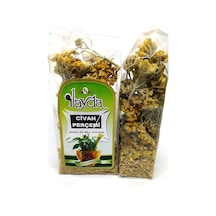 İlayda Civan Perçemi 25 G