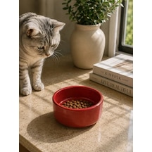 Kase Model Beton Kedi Köpek Mama Ve Su Kabı 15cm Çap 5cm - Kiremit