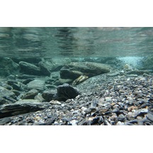 Kanki Pet Kp7045031 Akvaryum Arka Fon Yapıştırma 70 X 45 Cm