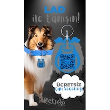 Petjoo 23.Lad Gri-Mavi Qr'lı Köpek Künyesi