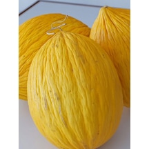 +20 Adet Kışlık Kavun Tohumu