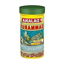 Sürüngen Ve Kaplumbağa Yemi 100 Ml, Besleyici Ve Lezzetli
