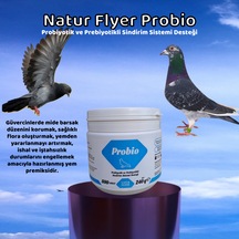 Natur Flyer Probio Güvercin Sındırım Desteği 800 Tablet