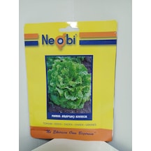 Neobi Arapsaçı Kıvırcık Marul Tohumu 10 Gr 1 Adet