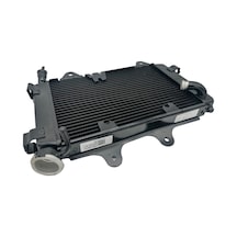 Bajaj Dominar D 250 Radyatör