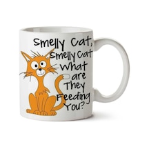 Smelly Cat Kokan Kedi İki Tarafı Baskılı Kupa Bardak Çok Renkli