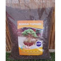 Bonsai Toprağı 5 L Özel Karışım Toprak İthal Torf Perlit Pomza N11.406