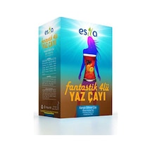 Fantastik 4 Lü Yaz Çayı 45 Li Diğer