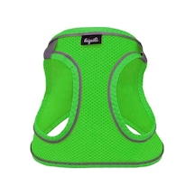 Üç Kilitli Sportif Kedi Köpek Göğüs Tasması 20-24 Cm -small Yeşil Çok Renkli