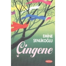 Çingene - Emine Şenlikoğlu - Mektup Yayinlari
