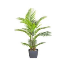 Yapay Areka Palmiye Ağacı, Gerçek Dokulu - 145 Cm Çok Renkli