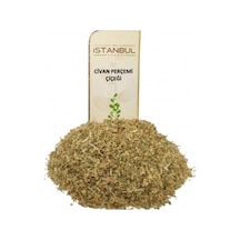 İstanbul Baharat Civan Perçemi Çiçeği 2 x 50 G