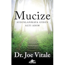 Mucize-Aydınlanmaya Giden Altı Adım - Joe Vitale - Pegasus