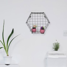 Wessdizayn Altıgen Metal Duvar Rafı Kafes Telli Dekoratif Çiçeklik Wd-09