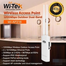 Wı-ap317 2.4g&5.8g 1200m Outdoor Wireless Access Point