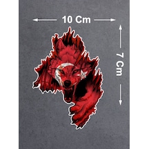 10x7 Cm