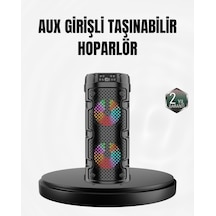 Kablosuz Stereo Hoparlör Usb + Sd Kart + Aux Destekli Bluetooth 5.0 - Lisinya