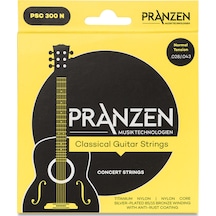Pranzen Psc300N Klasik Gitar Teli