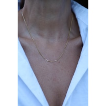 14 Ayar Altın 2 Mm Tilki Kuyruğu Zincir Znc23683 Sarı Altın