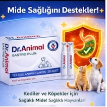 Dr. Animal Gastro Plus Mide Koruyucu 20 Tablet Kedi Köpek Sarı Köpük Kusma, Mide Yanması, İlaç Kullanımı Sonrası Mide Koruma & Mukoza Onarıcı