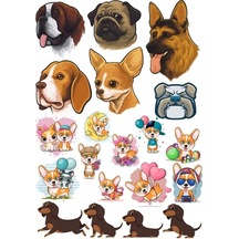 Köpek Sticker Set-13 13 Parça Telefon, Tablet, Defter, Laptop Sticker