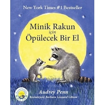 Minik Rakun İçin Öpülecek Bir El - Ezjı-876949