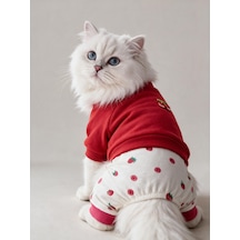 Tatlı Çilek Duo Çilekli Kedi Tulum & Sweat Kombini
