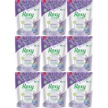 Dalan Roxy Bio Clean Matik Sabun Tozu 800GR Lavanta Bahçesi 9'lu
