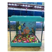 Mavi Renkli Mini Kare Akvaryum 20x20x15